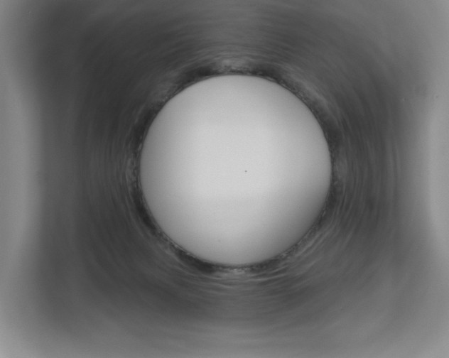 X0000113000079200908270928