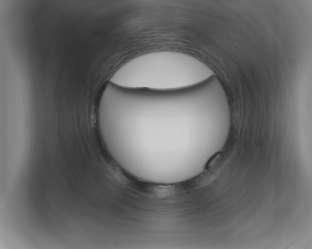 X0000113000085200908270928
