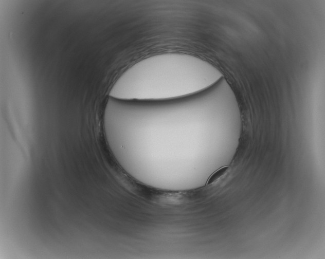 X0000113000086200908270928