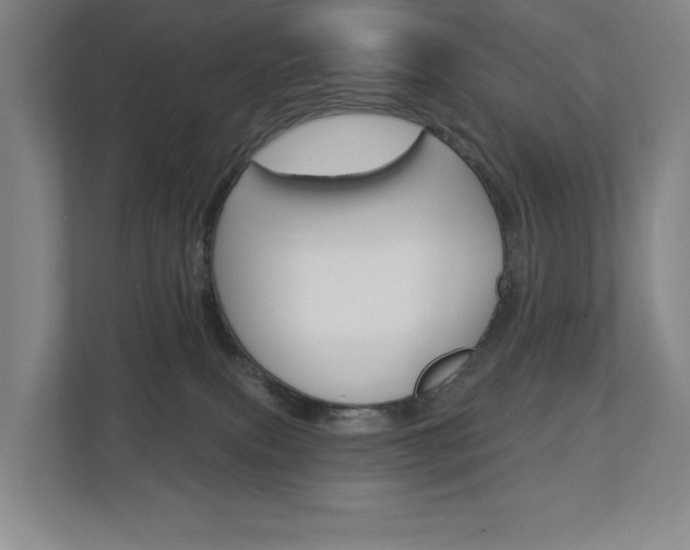 X0000113000087200908270928