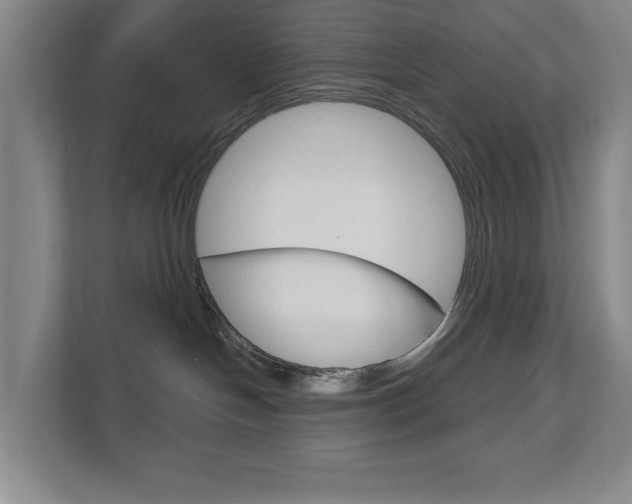X0000113000094200908270928