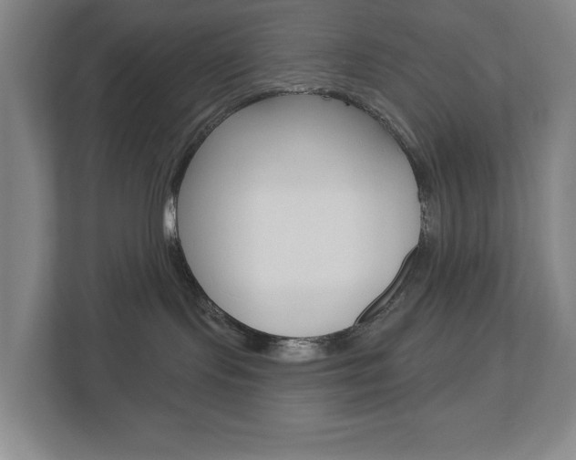 X0000113000095200908270928