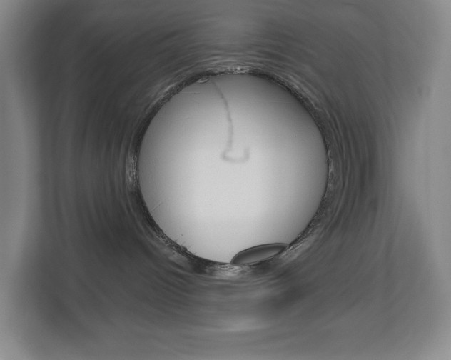 X0000113000096200908270928