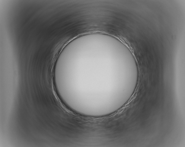 X0000113000097200908270928