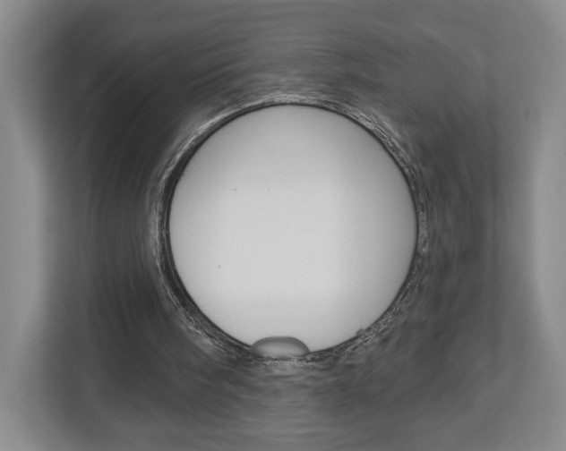 X0000113000098200908270928