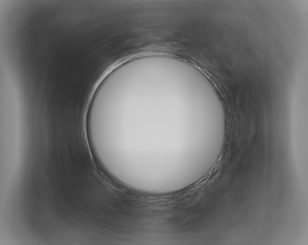 X0000113000100200908270928
