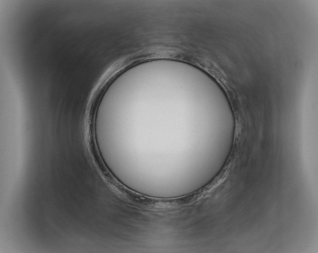 X0000113000101200908270928