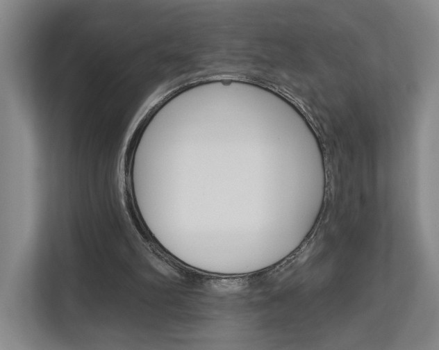 X0000113000102200908270927