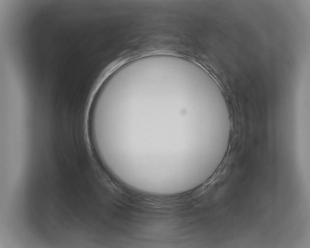 X0000113000104200908270927