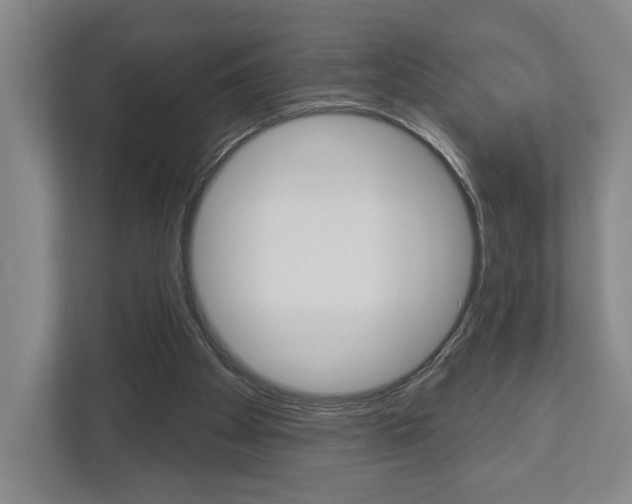 X0000113000105200908270927