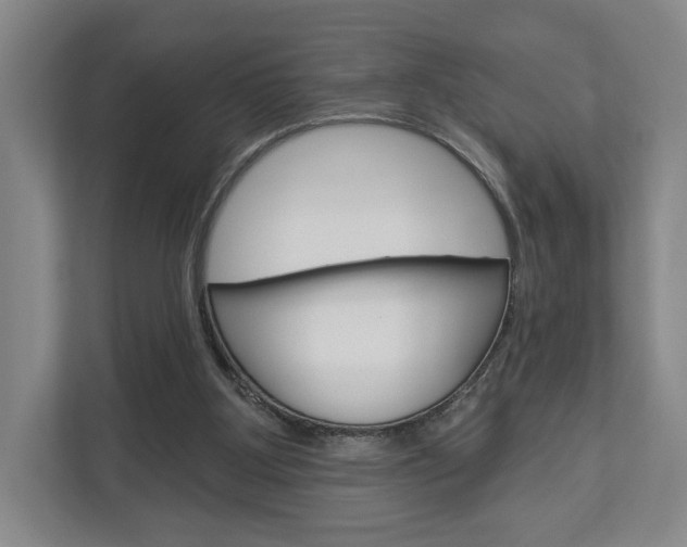X0000113000107200908270927