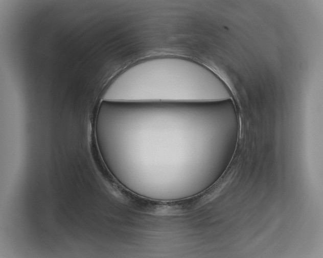 X0000113000109200908270927