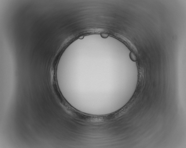 X0000113000110200908270927