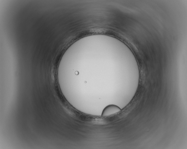 X0000113000114200908270927