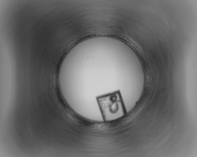 X0000113000117200908270927