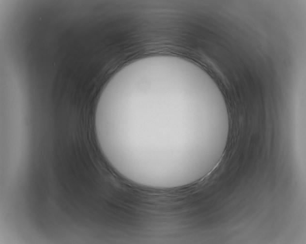 X0000113000124200908270927