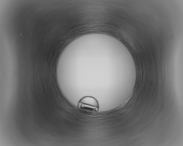 X0000113000128200908270927