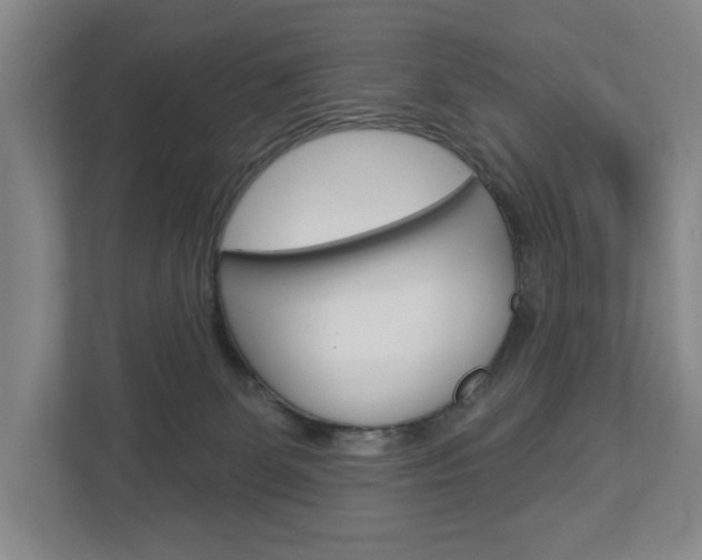 X0000113000131200908270927