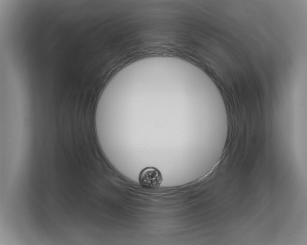 X0000113000132200908270927