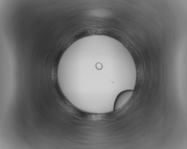 X0000113000134200908270927