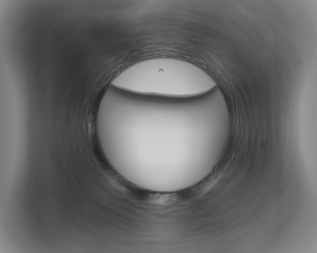 X0000113000135200908270927