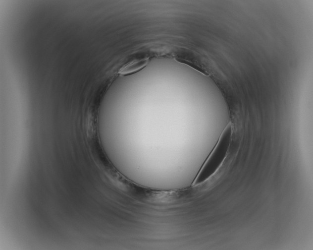 X0000113000136200908270927