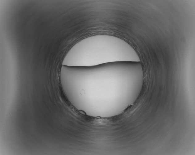 X0000113000137200908270927