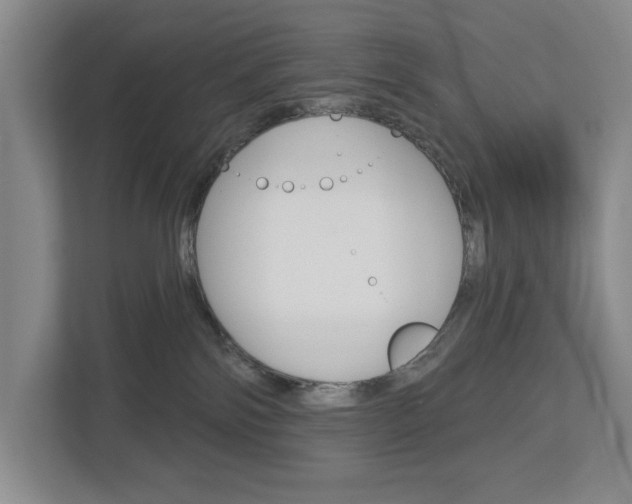 X0000113000138200908270927