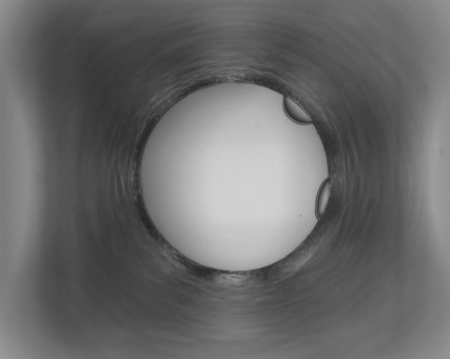 X0000113000139200908270927