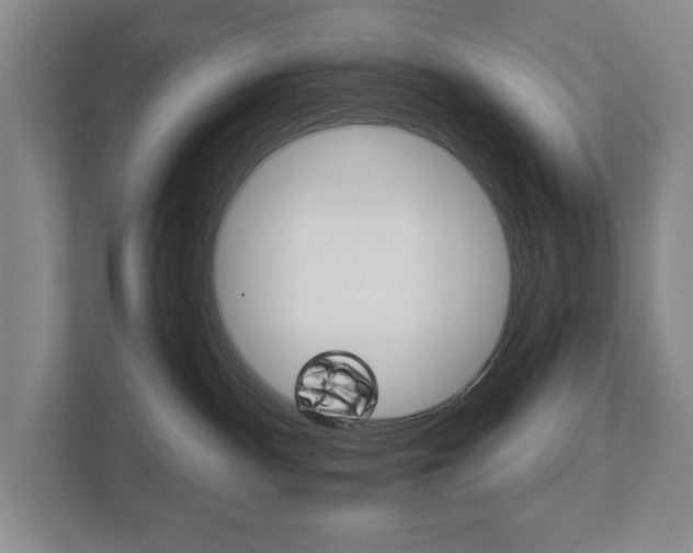 X0000113000140200908270927