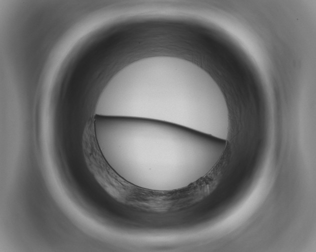 X0000113000143200908270927