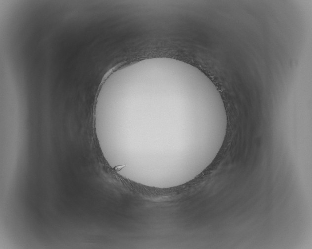 X0000113000144200908270927