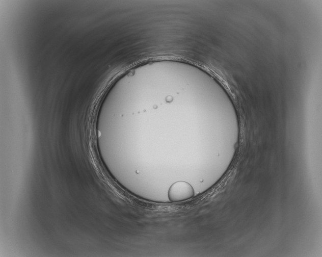 X0000113000145200908270926