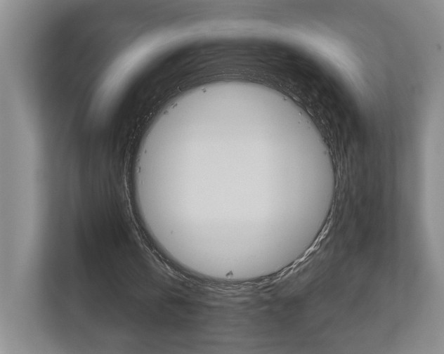 X0000113000146200908270926