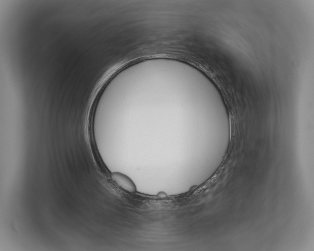 X0000113000147200908270926