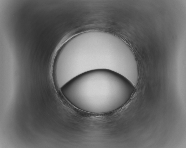 X0000113000150200908270926