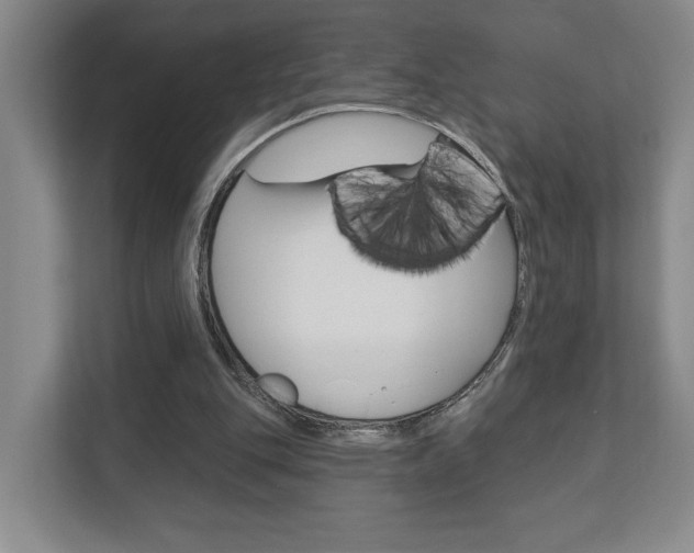 X0000113000151200908270926