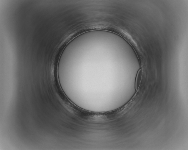 X0000113000154200908270926
