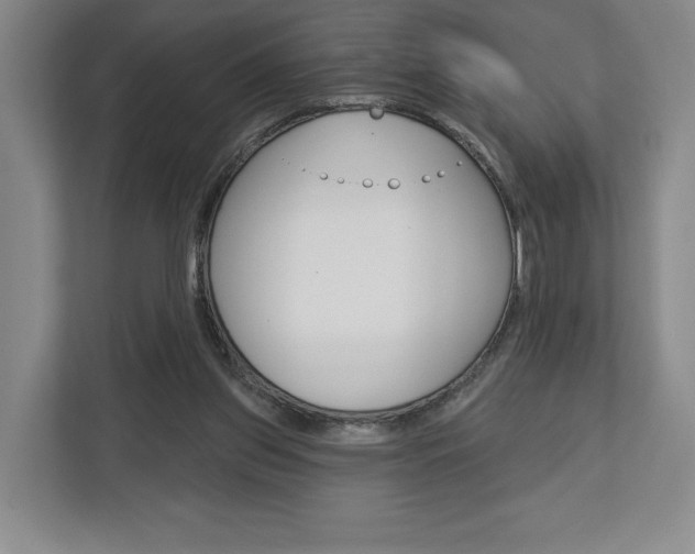 X0000113000157200908270926