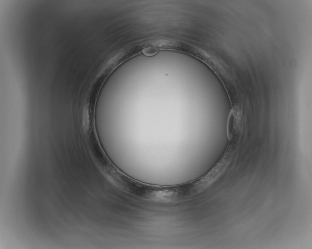 X0000113000158200908270926