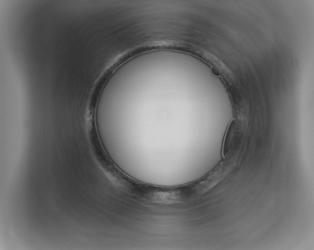 X0000113000160200908270927