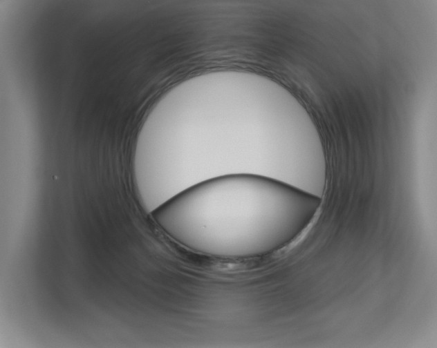 X0000113000174200908270927