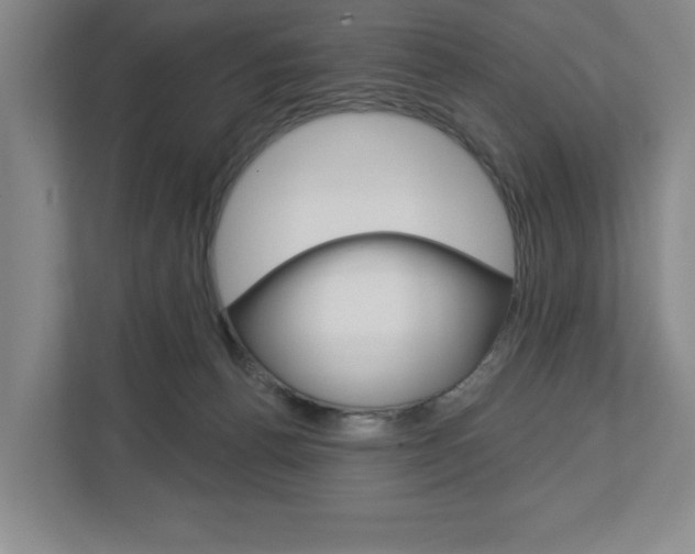 X0000113000176200908270927