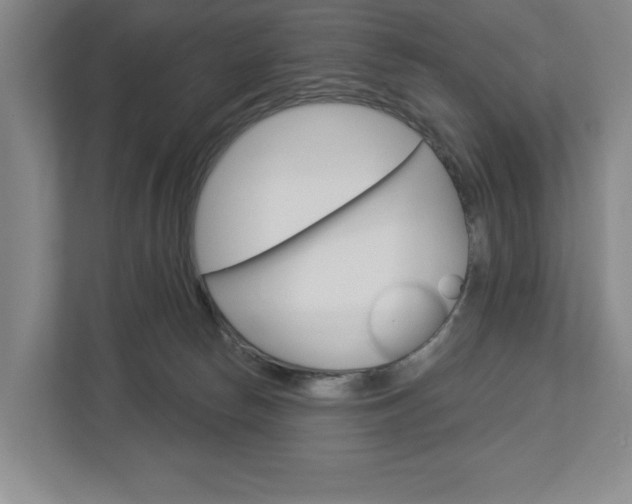 X0000113000178200908270927