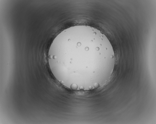 X0000113000187200908270927