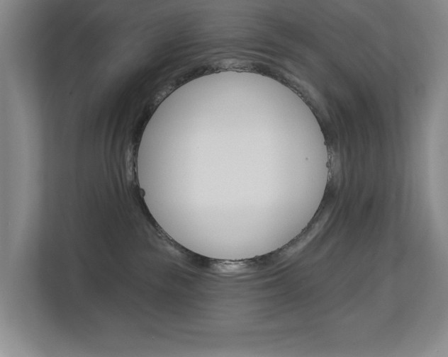 X0000113000189200908270927