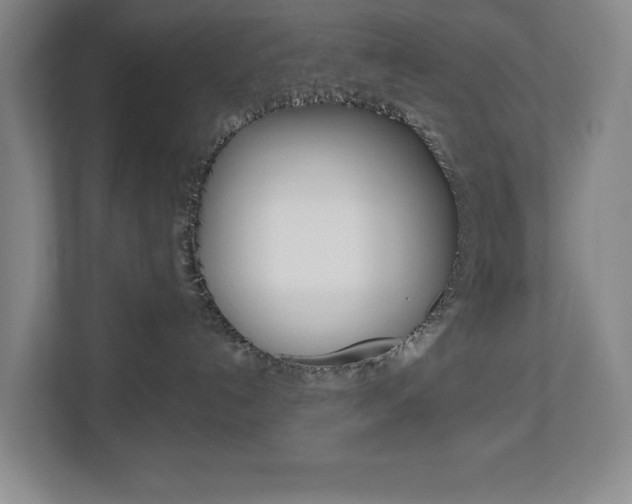 X0000113000192200908270927