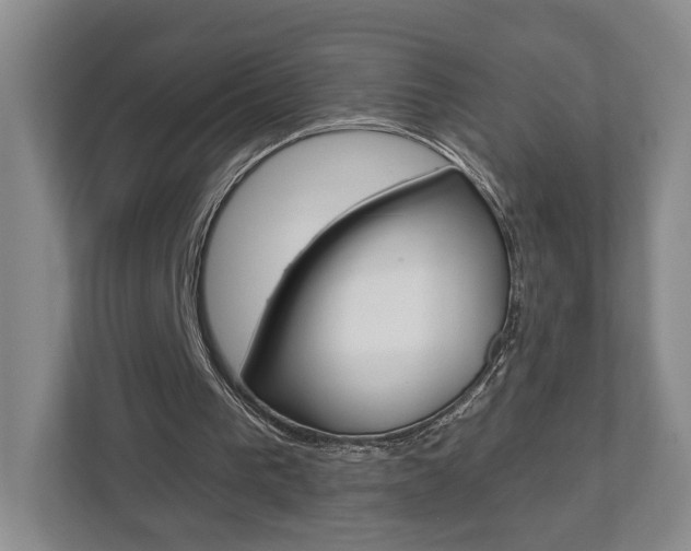 X0000113000193200908270926