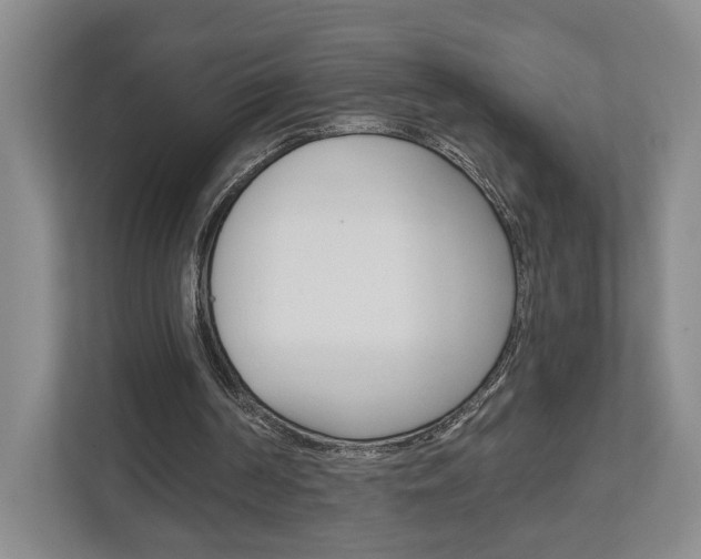 X0000113000194200908270926