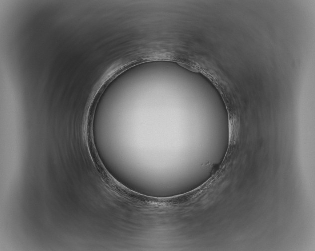 X0000113000195200908270926